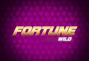 Fortune Wild